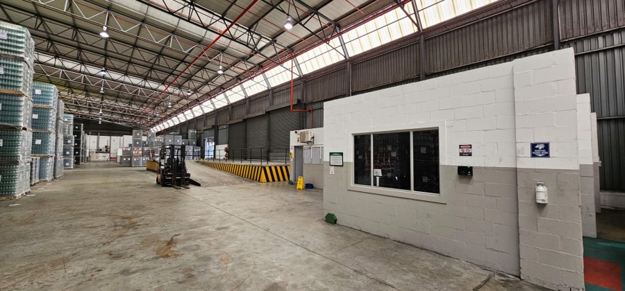 To Let commercial Property for Rent in Parow Industrial Western Cape